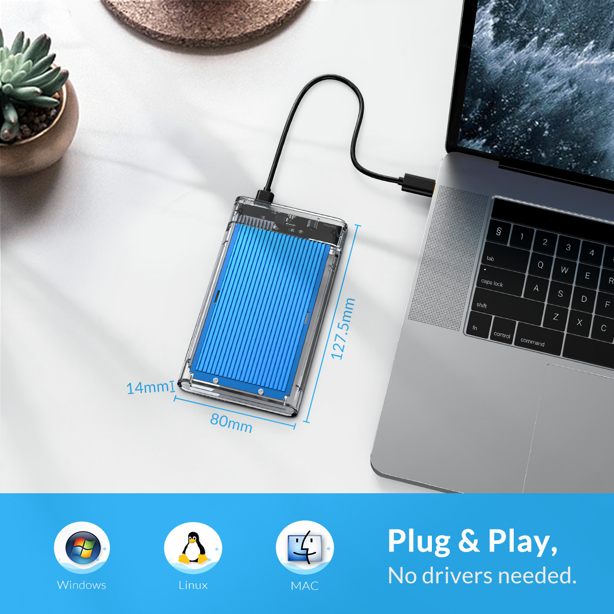 image for this item