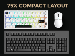 DAREU FLEX75 Wireless Mechanical Keyboard