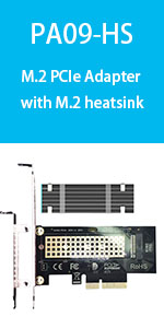 M.2 PCIe SSD to PCIe X4