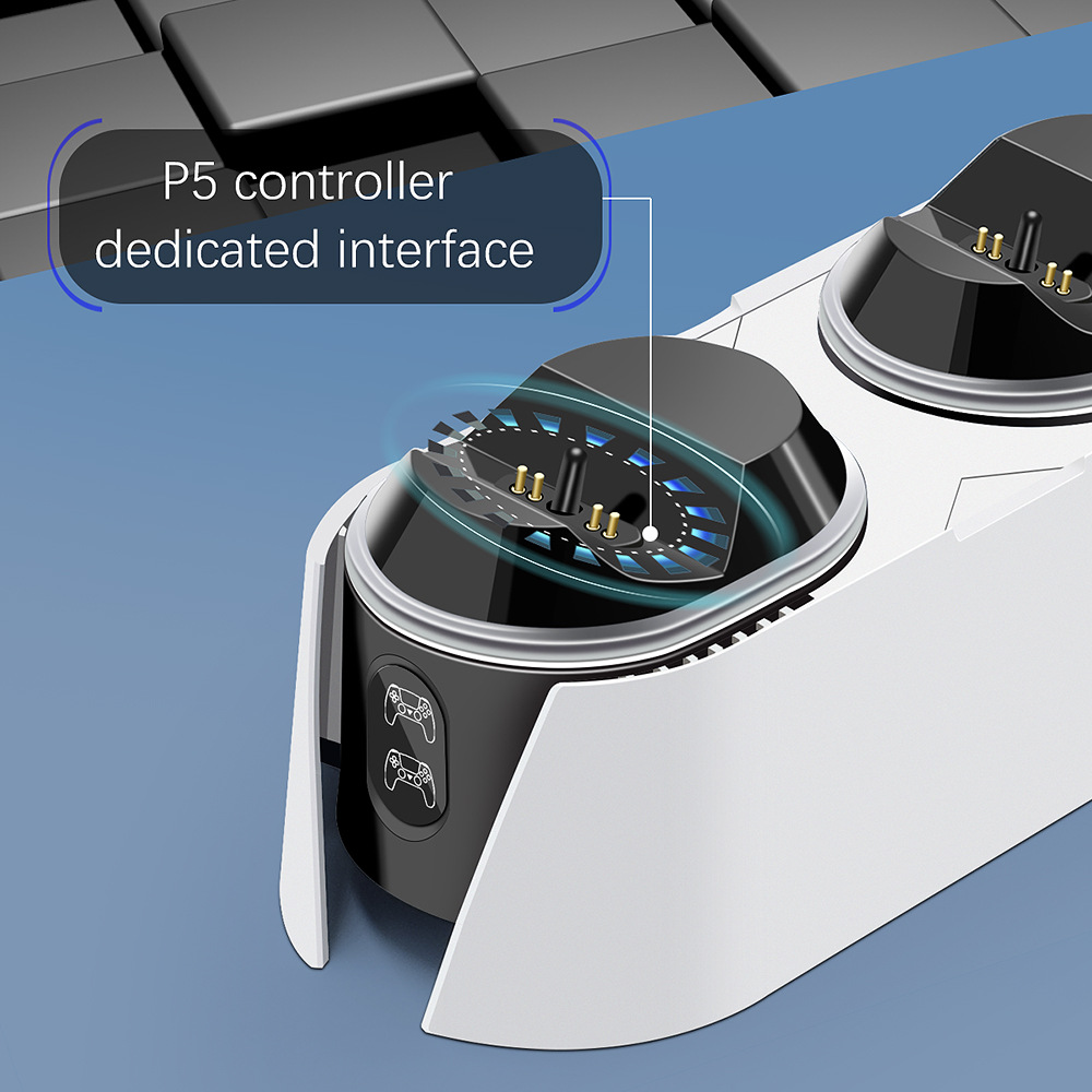 P5 Controller Dedicated Interface