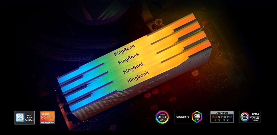 Kingbank RGB 288-Pin PC RAM DDR5 Desktop Memory