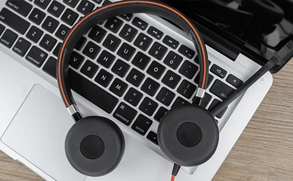 Ear Pads