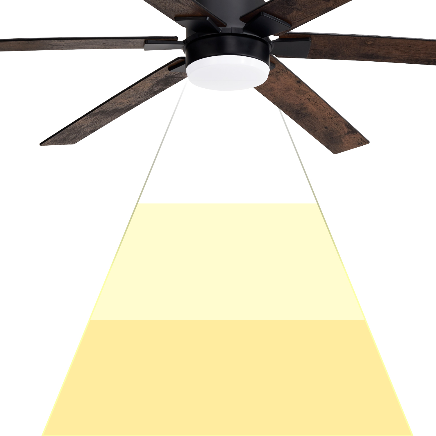 image for this item