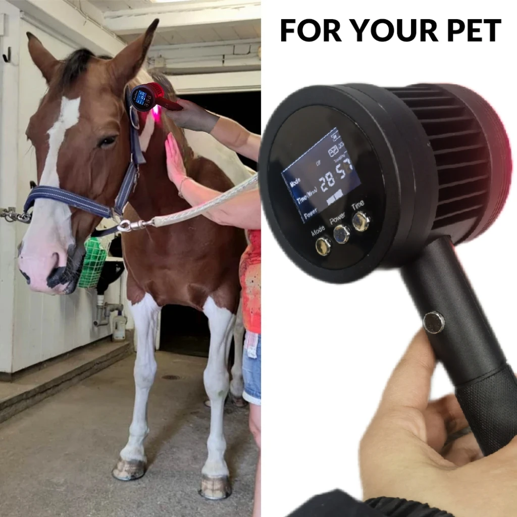 Relieve the horse's pain