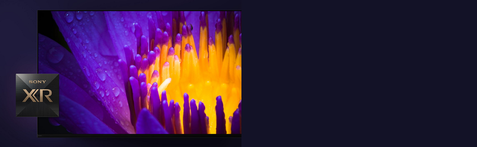 image for this item