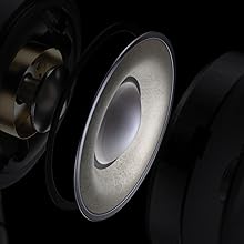 Sennheiser IE 900 Audiophile In-Ear Monitors