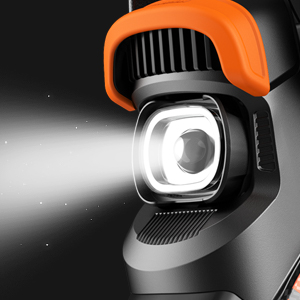 image for this item