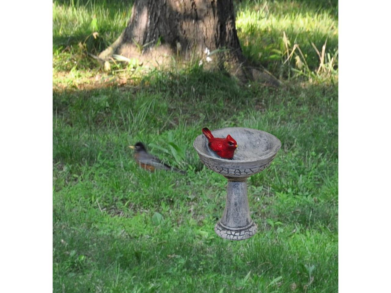 Part of G & F MiniGardenn Collection, this cute bird bath is a great accessory to any fairy garden.