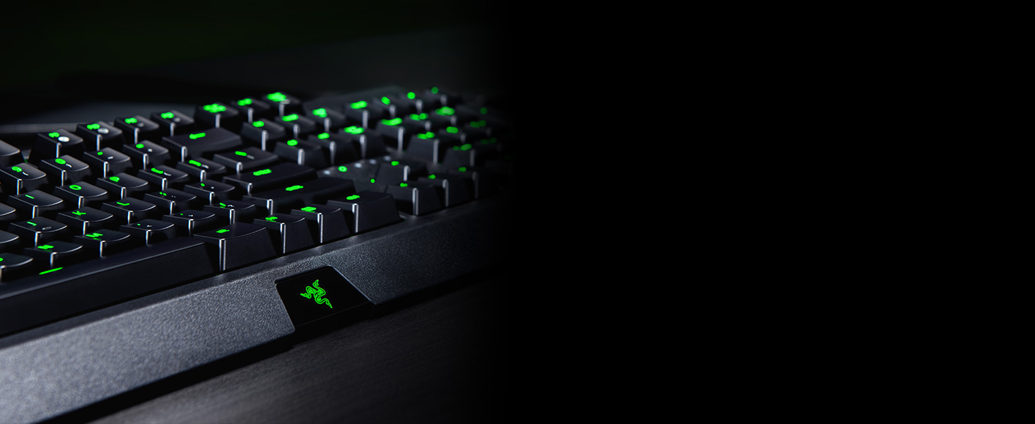 image for this item