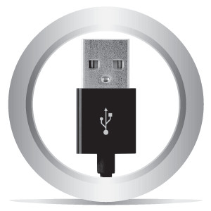 Apple MFi Certified Lightning to USB Charge and Sync Cable