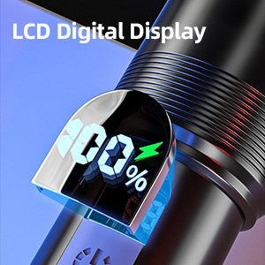 LCD Digital Display