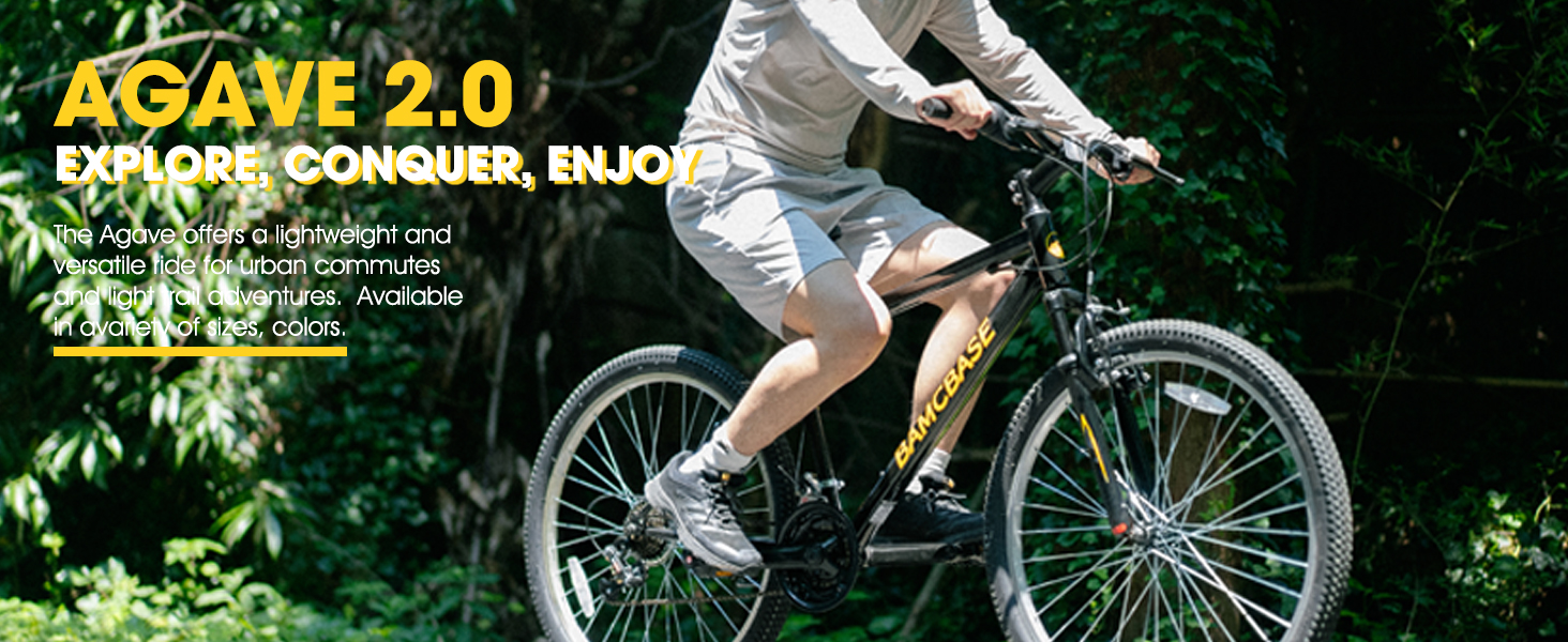AGAVE 2.0