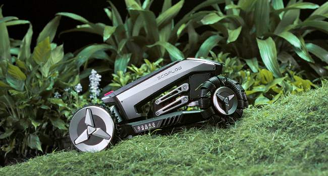 image for this item
