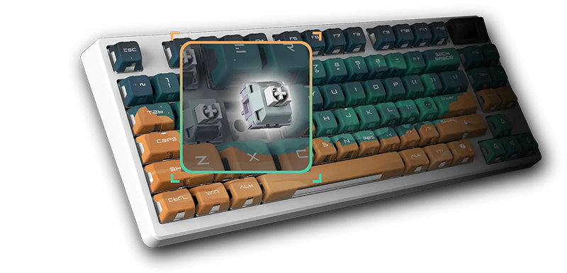 MSI FORGE GK600 TKL Wireless Gaming Keyboard