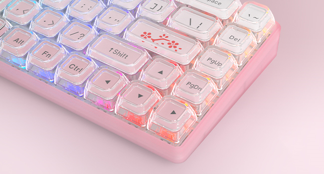 image for this item