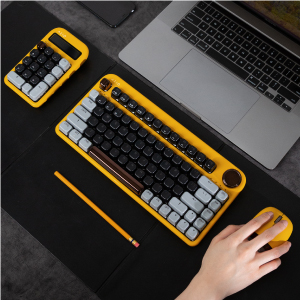 image for this item