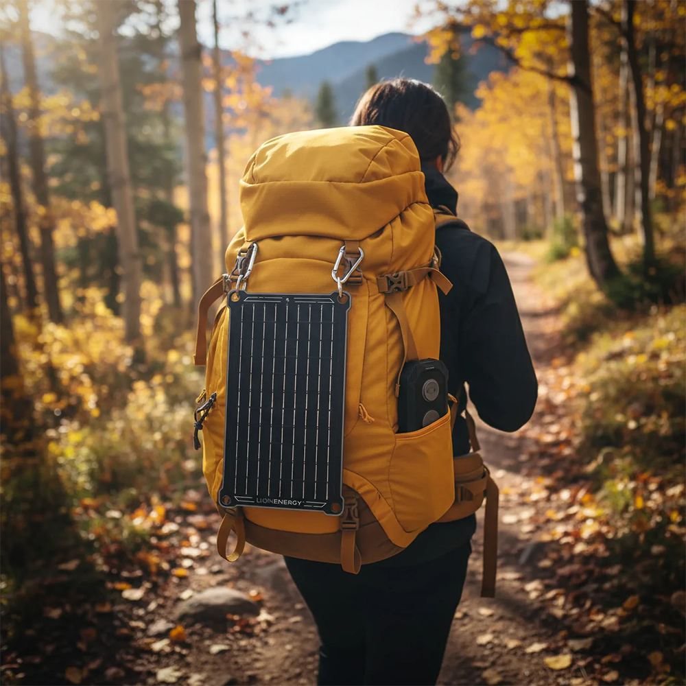 Lion Energy Eclipse Power Bank 3-in-1 Wireless & USB Charger for Phone, Ear Buds & Watch