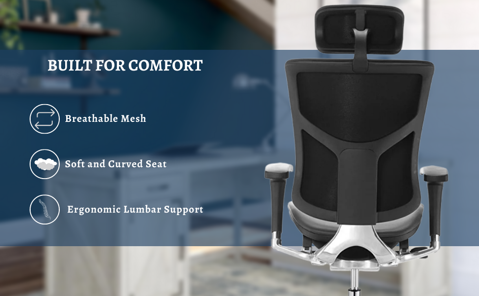 image for this item