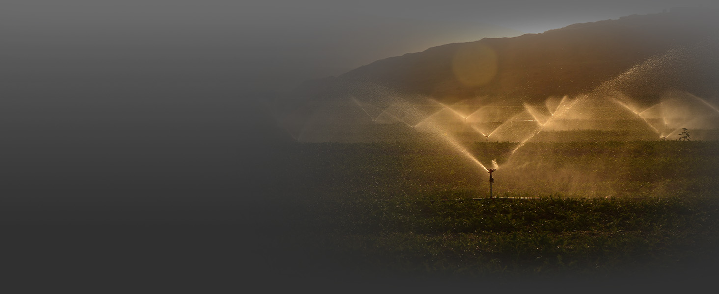 Shelly 1 Mini Gen 3 - Smart Irrigation