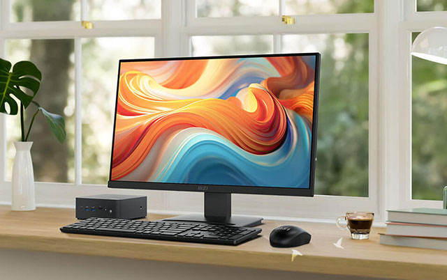 MSI PRO MP241 E14V Computer Monitor