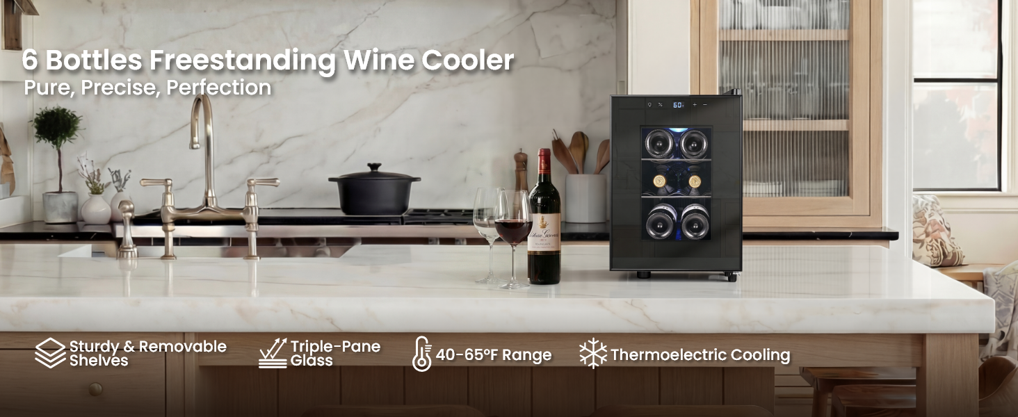 6 Bottles Wine Fridge