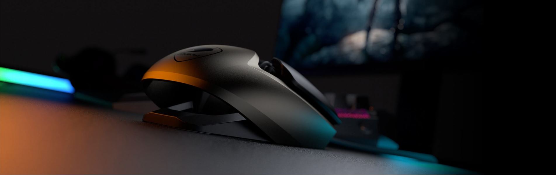 image for this item