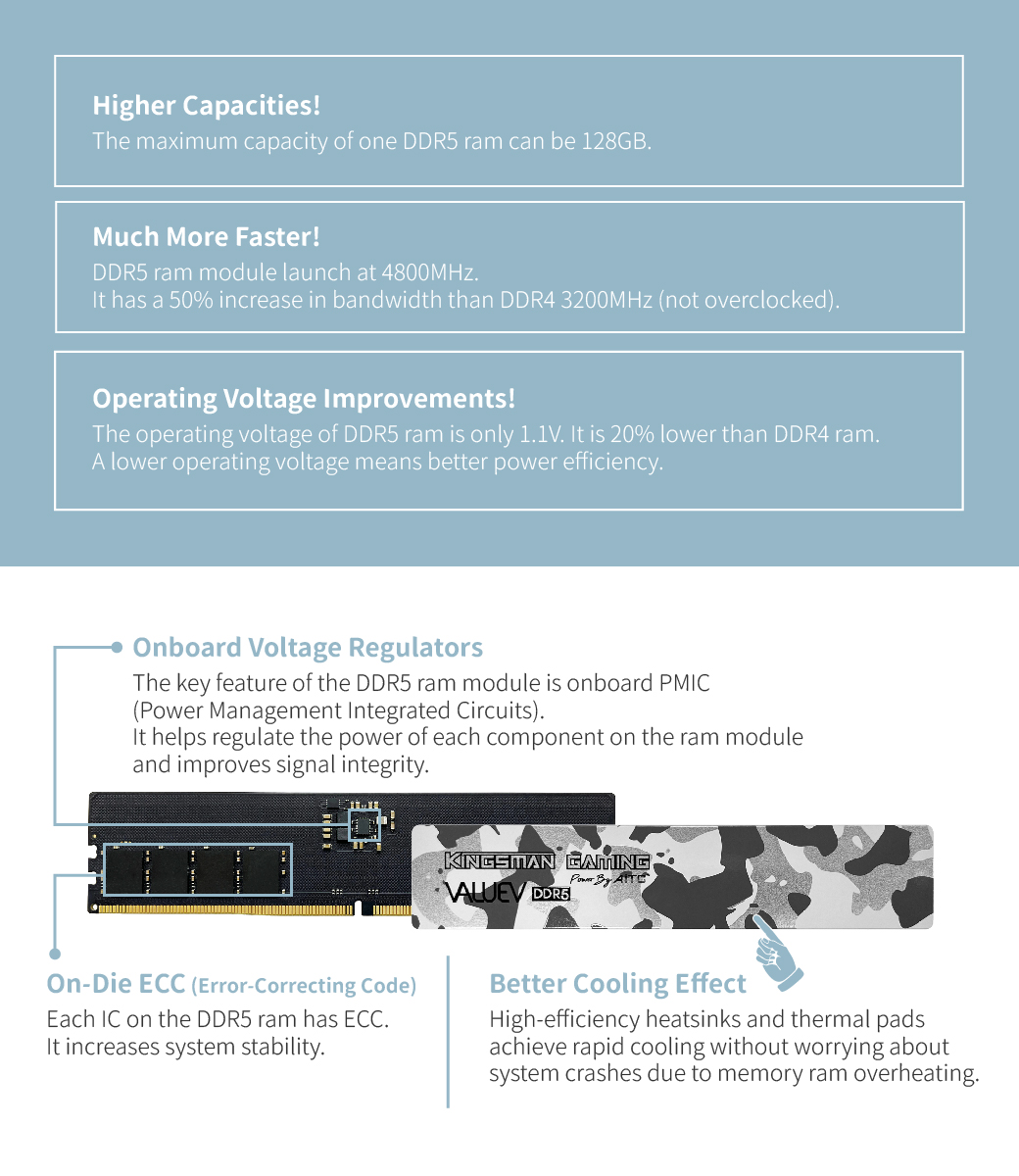 DDR5, XMP, UDIMM