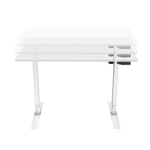 FlexiSpot Electric Height Adjustable White Standing Desk 48 × 30 inch with Memory Function