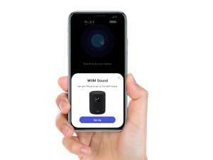 WiiM Sound Smart Speaker 