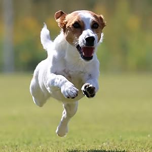 Canon EOS R50 Mirrorless Camera with Canon RF-S 18-45mm f/4.5-6.3 IS STM Lens and Transcend 64GB SDXC Memory Card + Camera Case