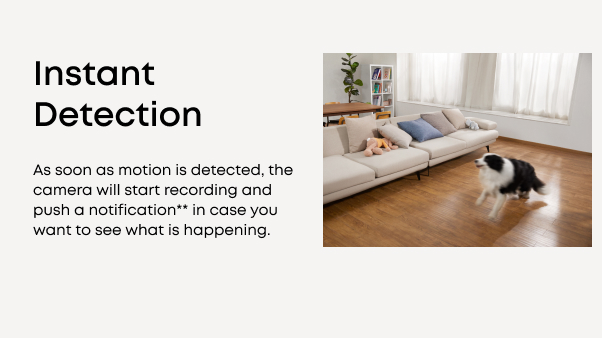 Instant Detection