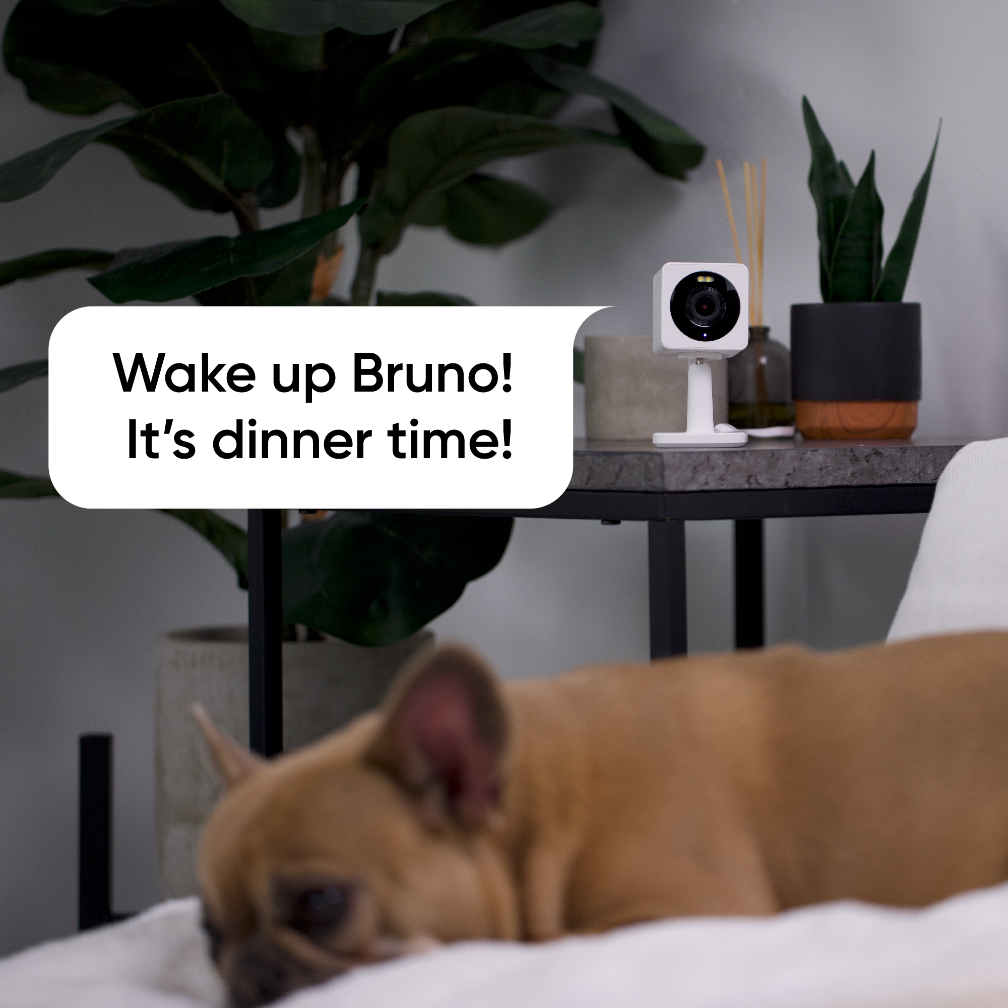 Wyze Cam OG Two Way Audio
