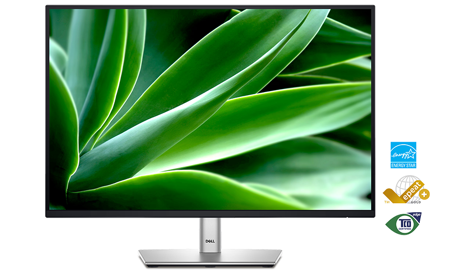 Dell P2425 Pro 24 Plus 16:10 Monitor