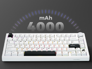 DAREU FLEX75 Wireless Mechanical Keyboard