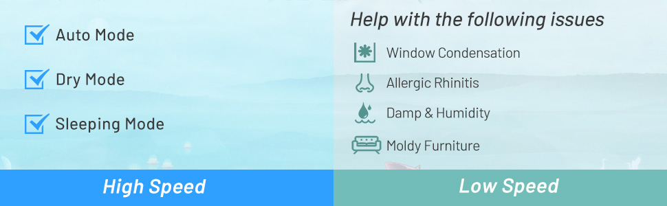 image for this item