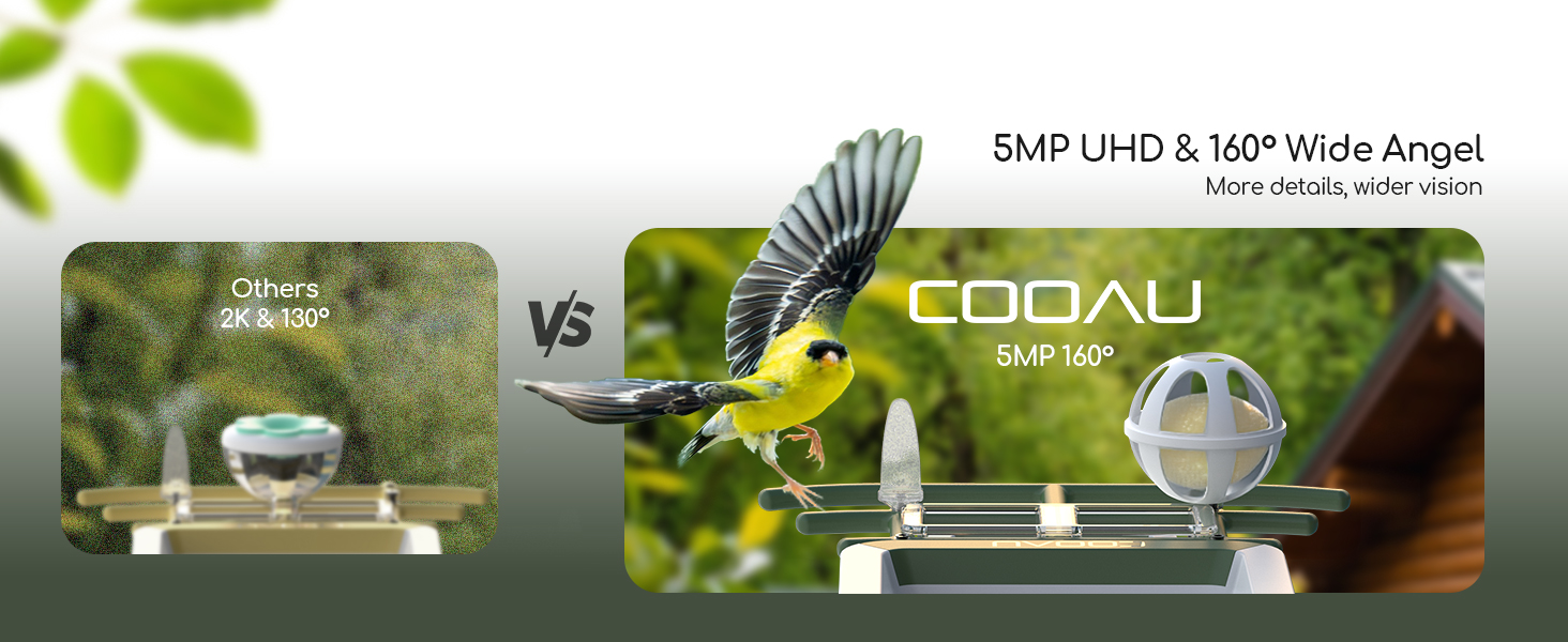 You Spoke, We Listened: 2 Key Upgrades to Your Smart Bird Feeder