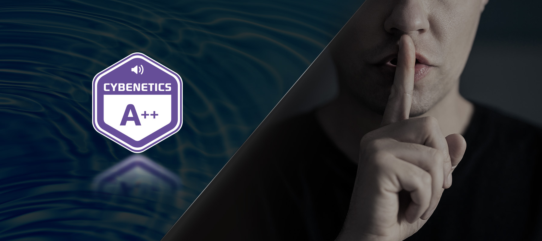 ASRock Steel Legend PG-850PSF 850W 80 PLUS GOLD & Cybenetics PLATINUM Full Modular Power Supply