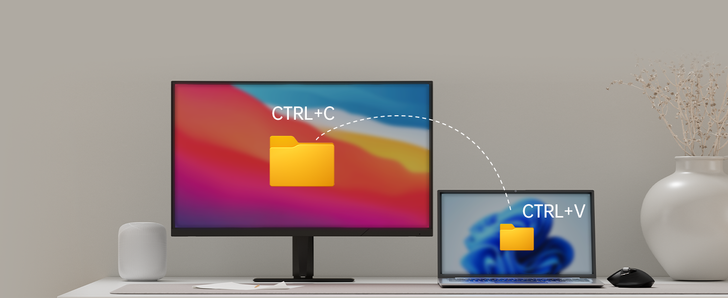 Rapoo M+ Cross-Computer Technology