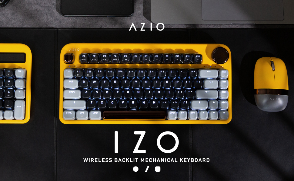 image for this item