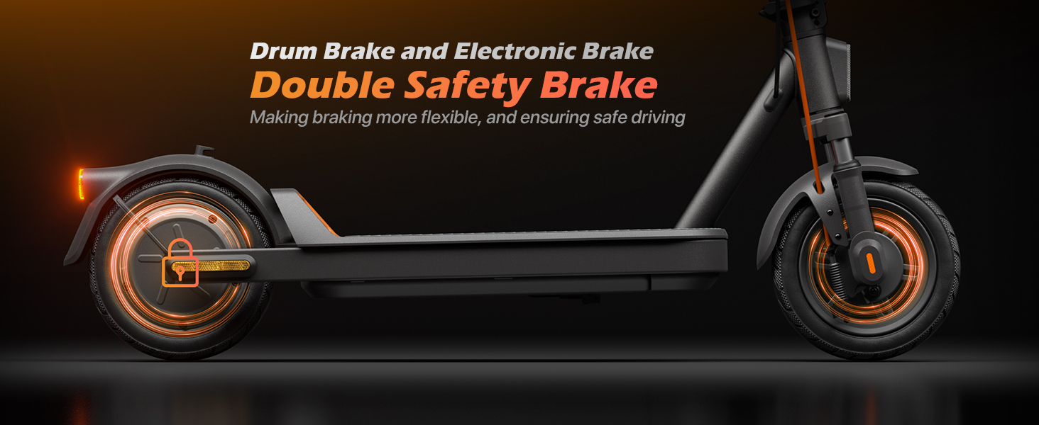 electric scooter with dual brake system