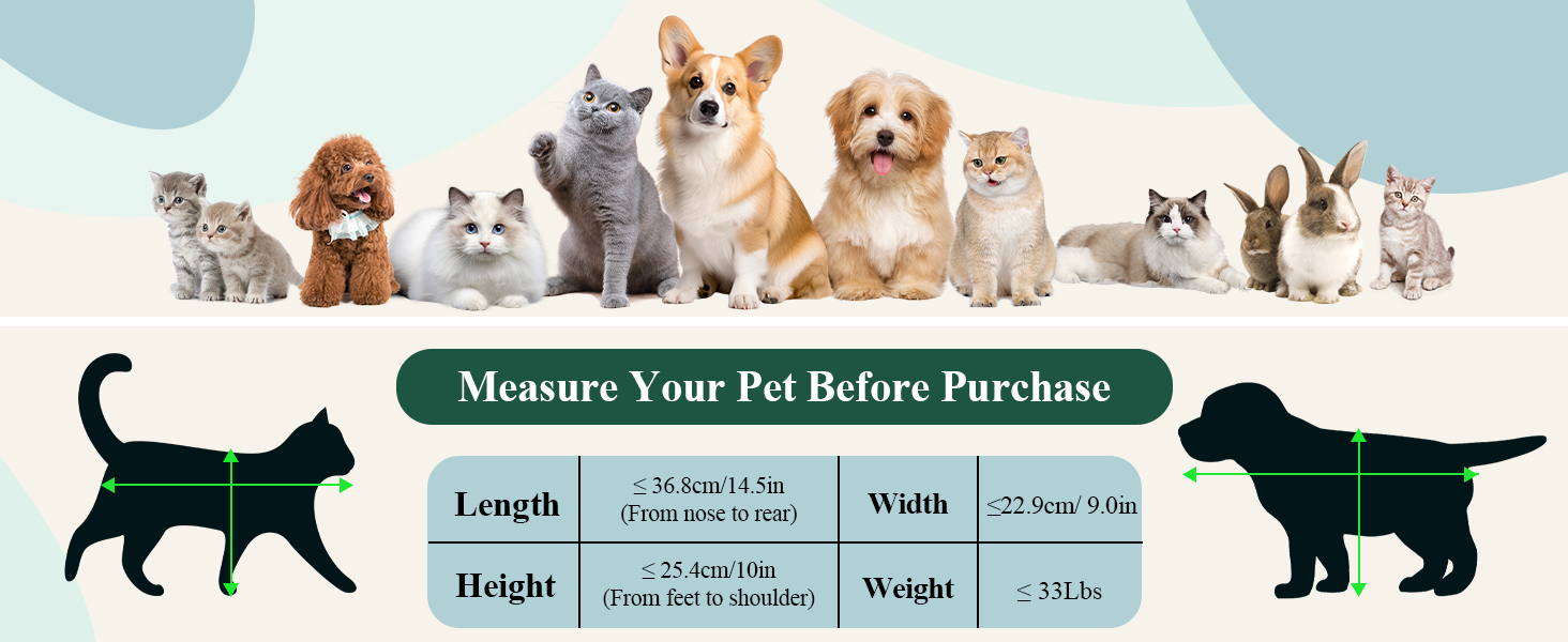 Measure Your Pet Before Purchase