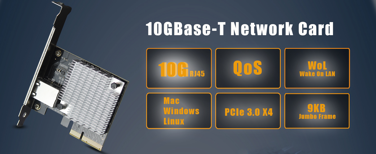 10Gb NIC