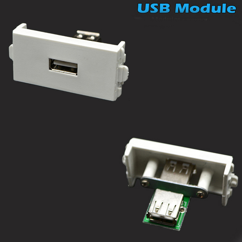 wall plate module