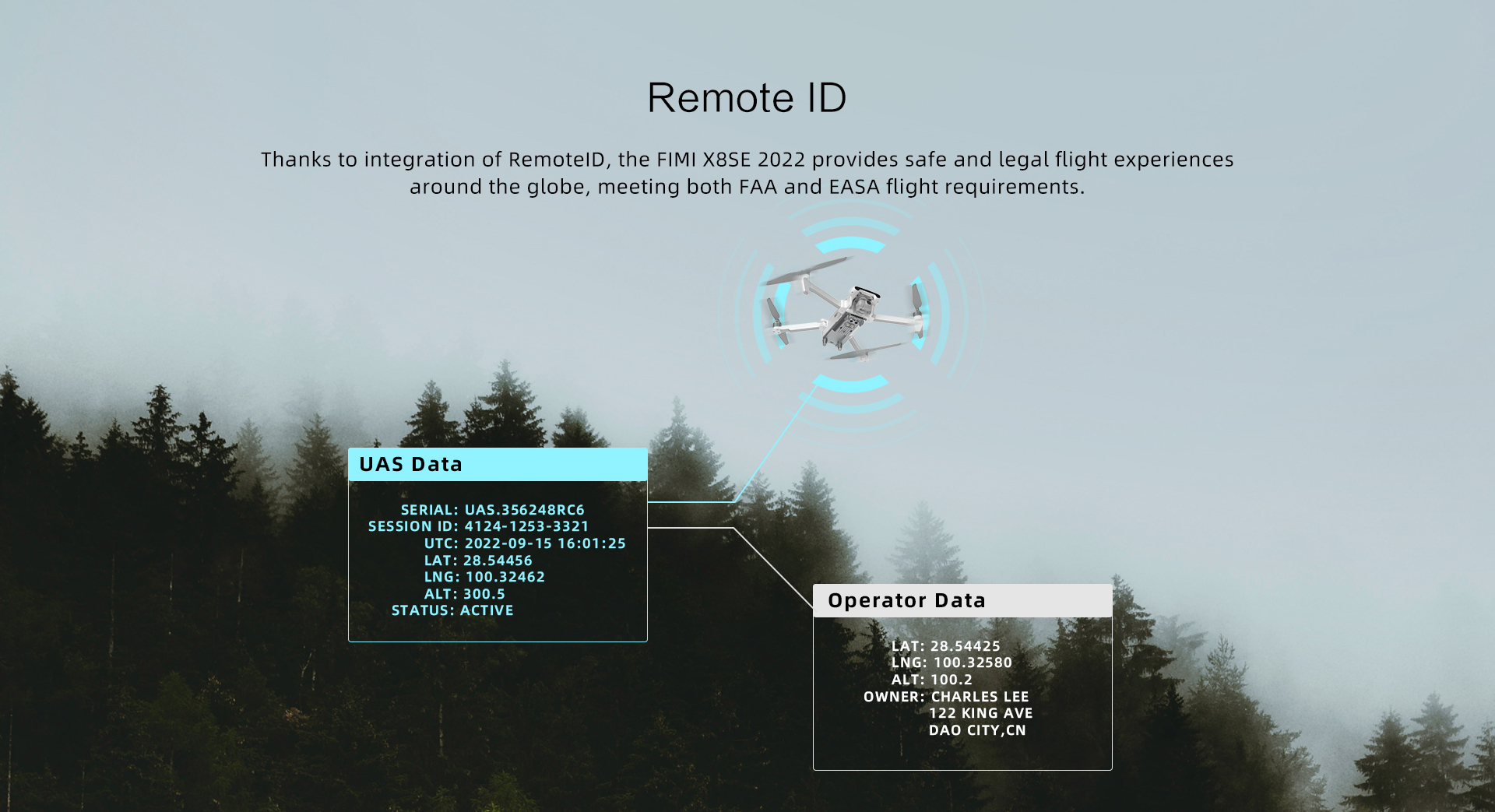 Drone