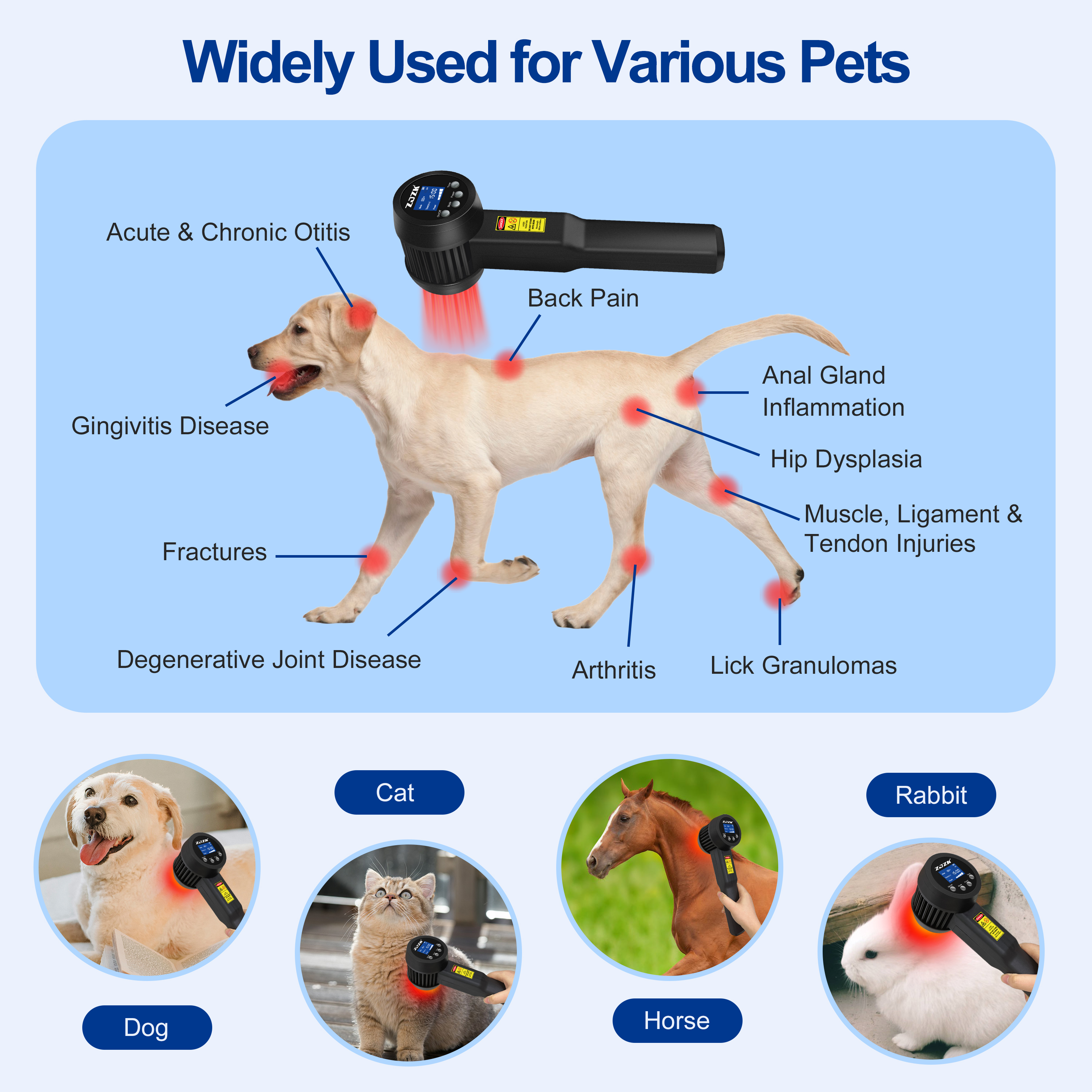 Product Description