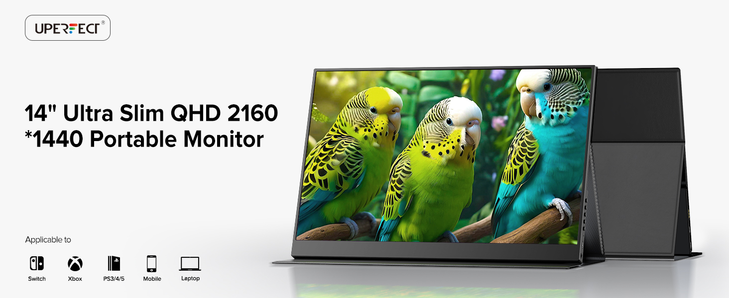 MONITOR