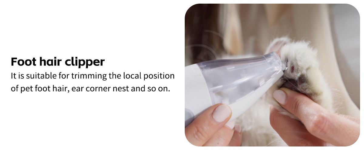 Foot hair clipper
