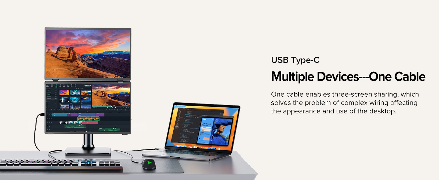 Dual Portable Monitor