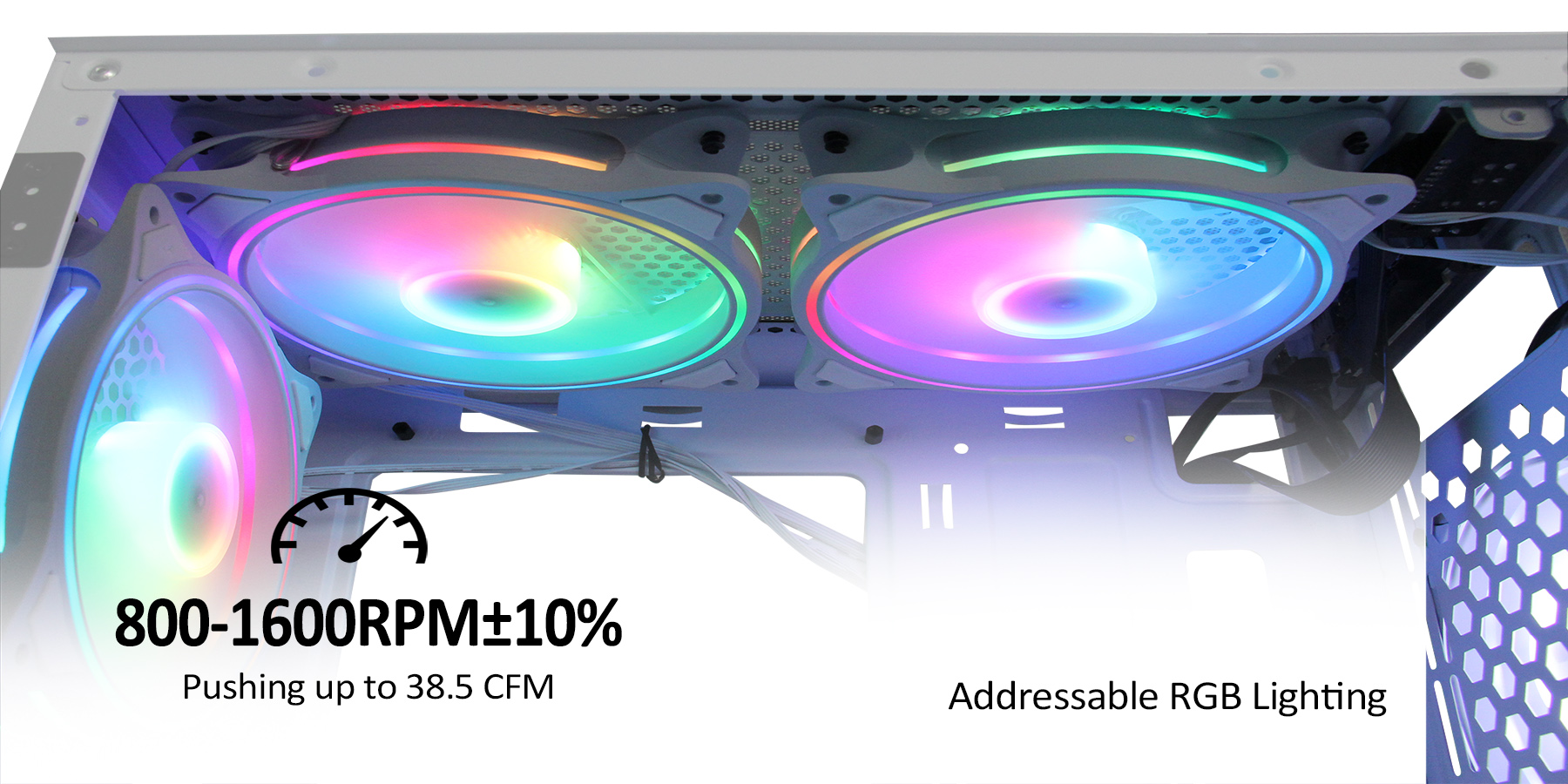 image for this item