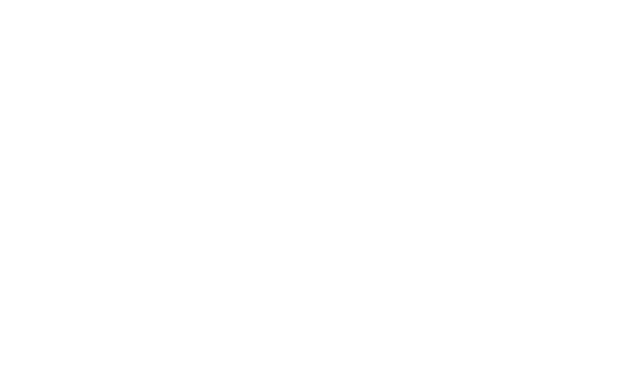 Seagate FireCuda X1070 M.2 2280 Internal Solid State Drive 